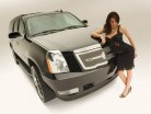 STRUT Cadillac Escalade Vail Collection